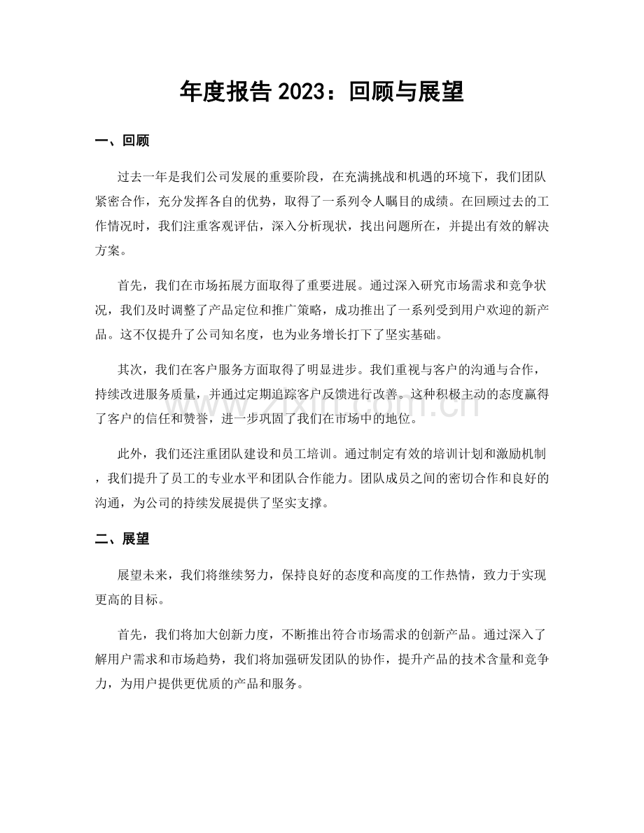 年度报告2023：回顾与展望.docx_第1页