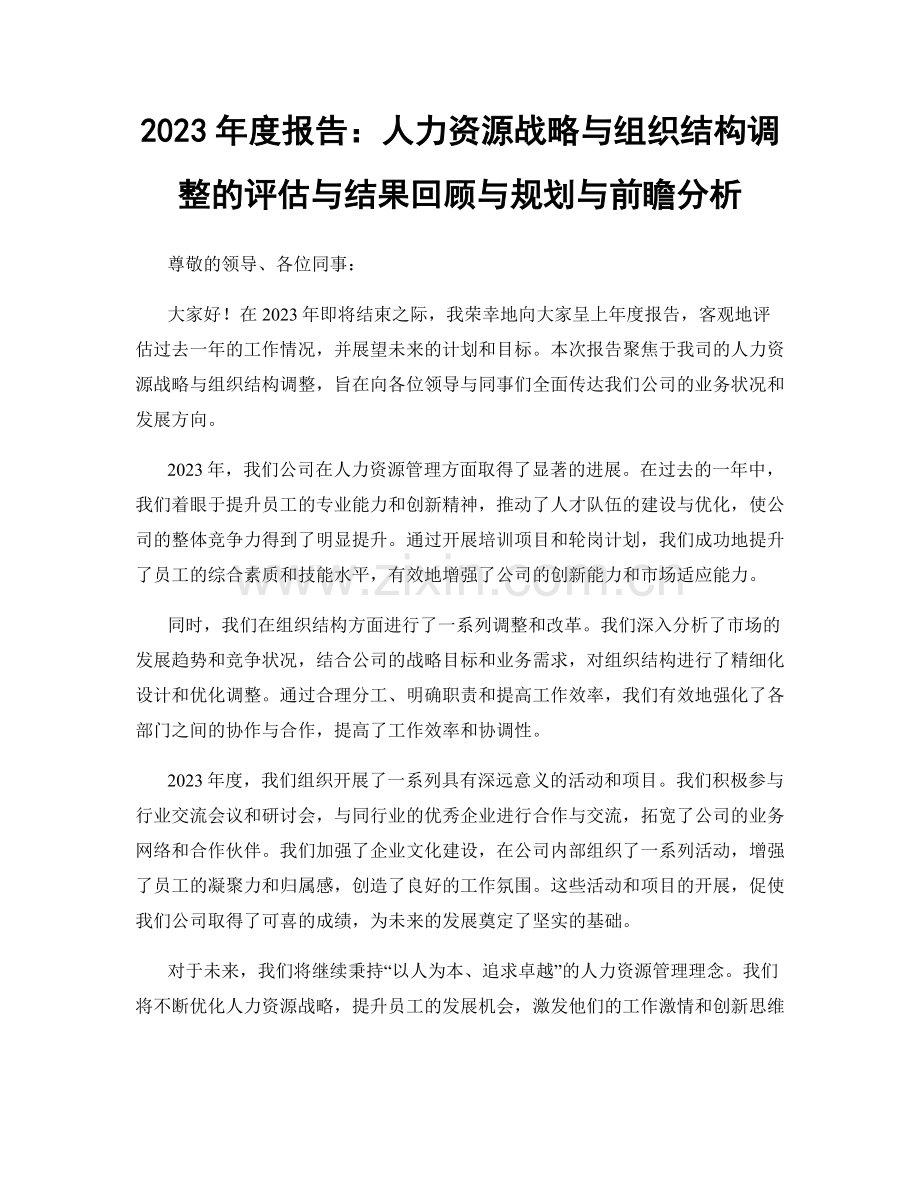 2023年度报告：人力资源战略与组织结构调整的评估与结果回顾与规划与前瞻分析.docx_第1页