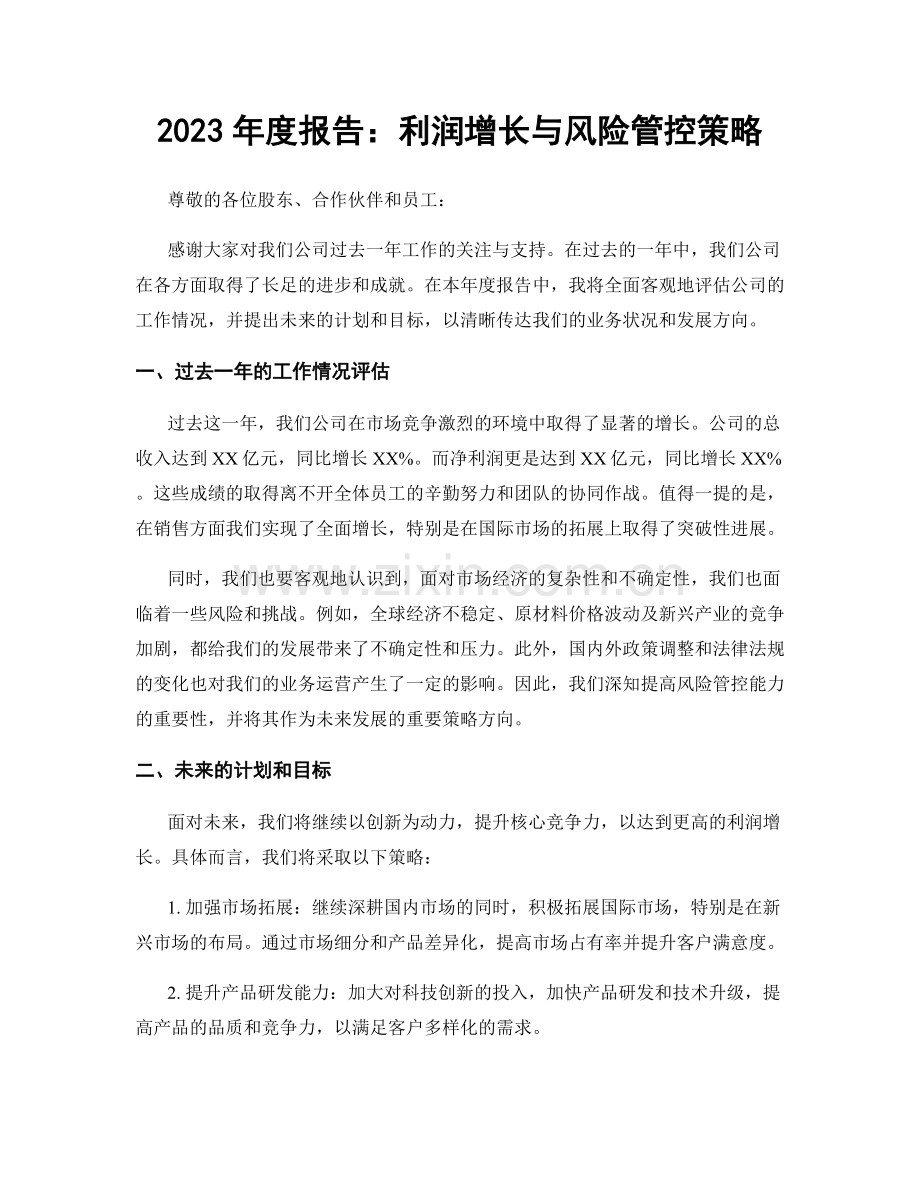2023年度报告：利润增长与风险管控策略.docx_第1页