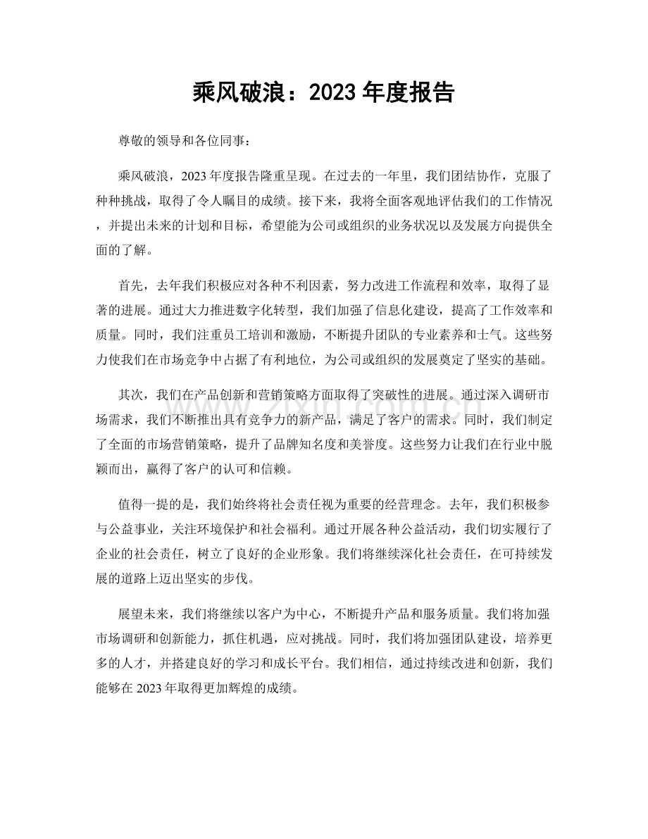 乘风破浪：2023年度报告.docx_第1页