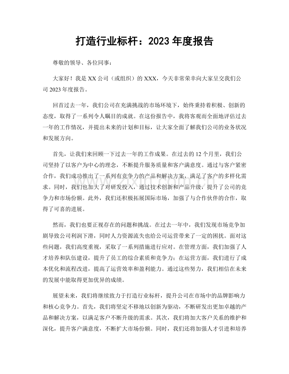 打造行业标杆：2023年度报告.docx_第1页