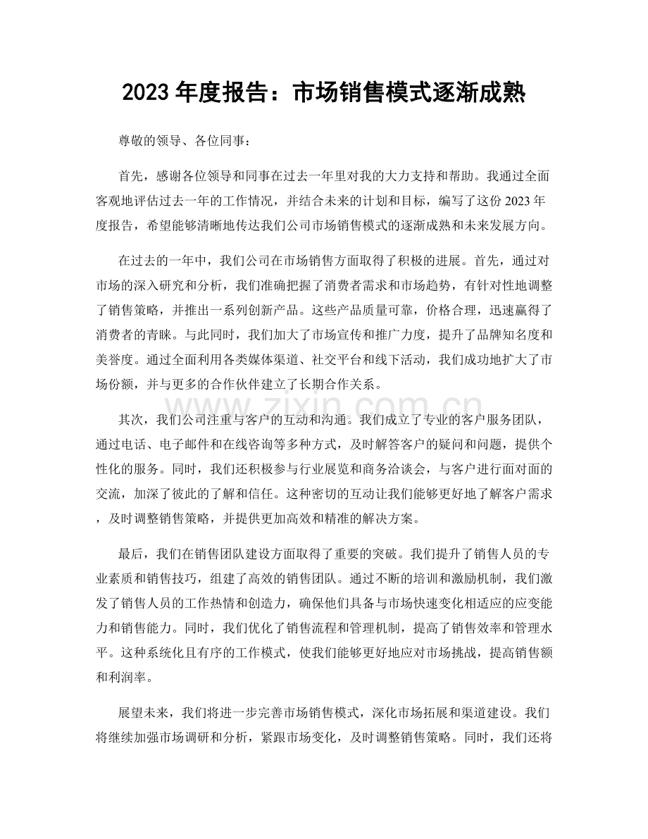 2023年度报告：市场销售模式逐渐成熟.docx_第1页