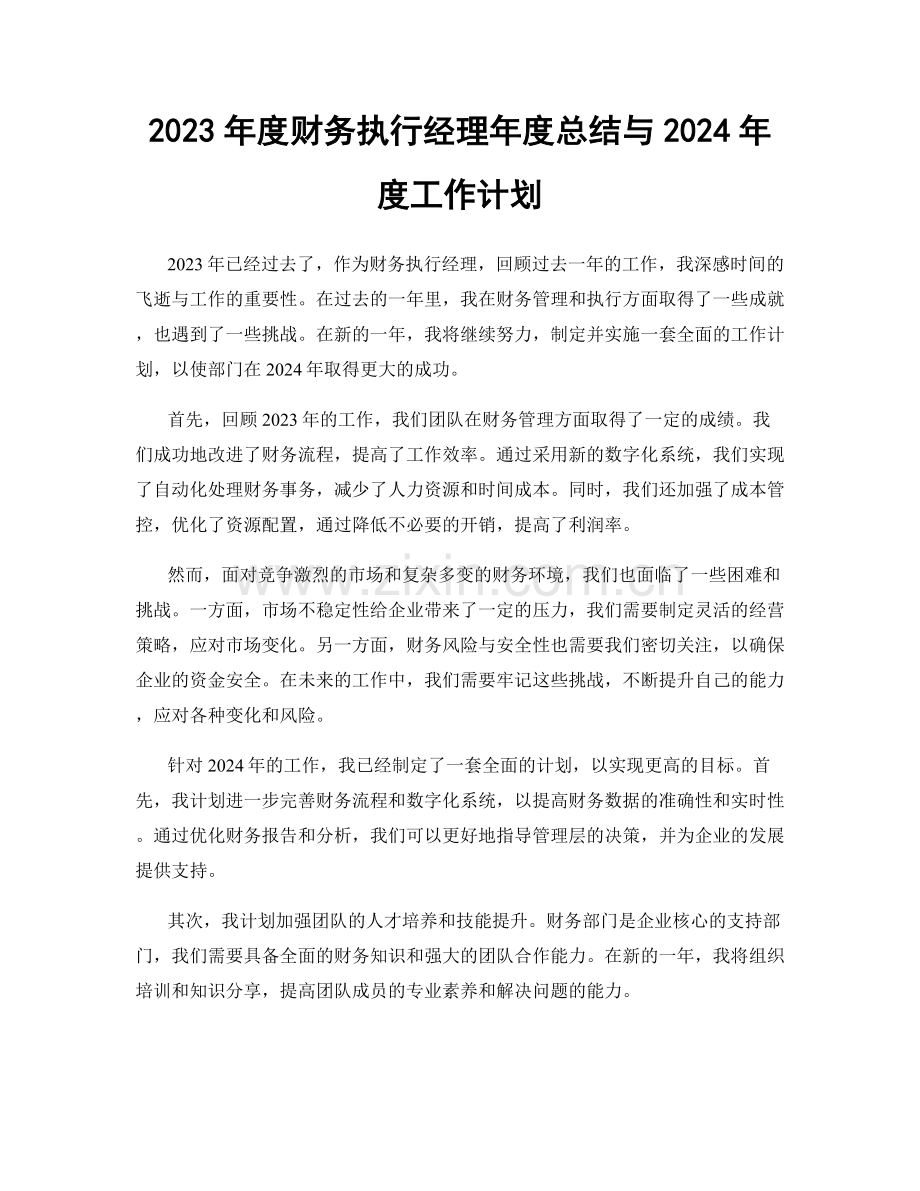 2023年度财务执行经理年度总结与2024年度工作计划.docx_第1页