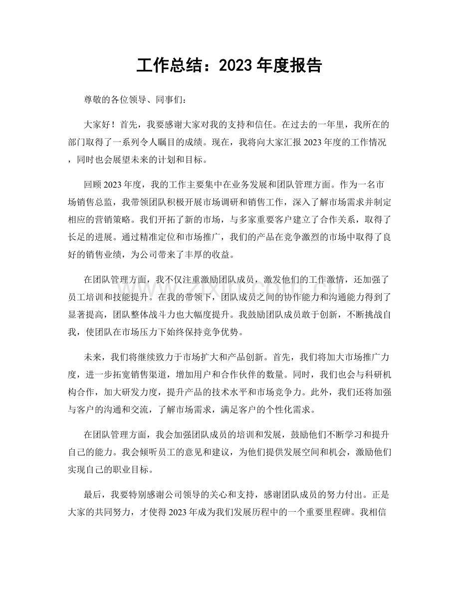 工作总结：2023年度报告.docx_第1页
