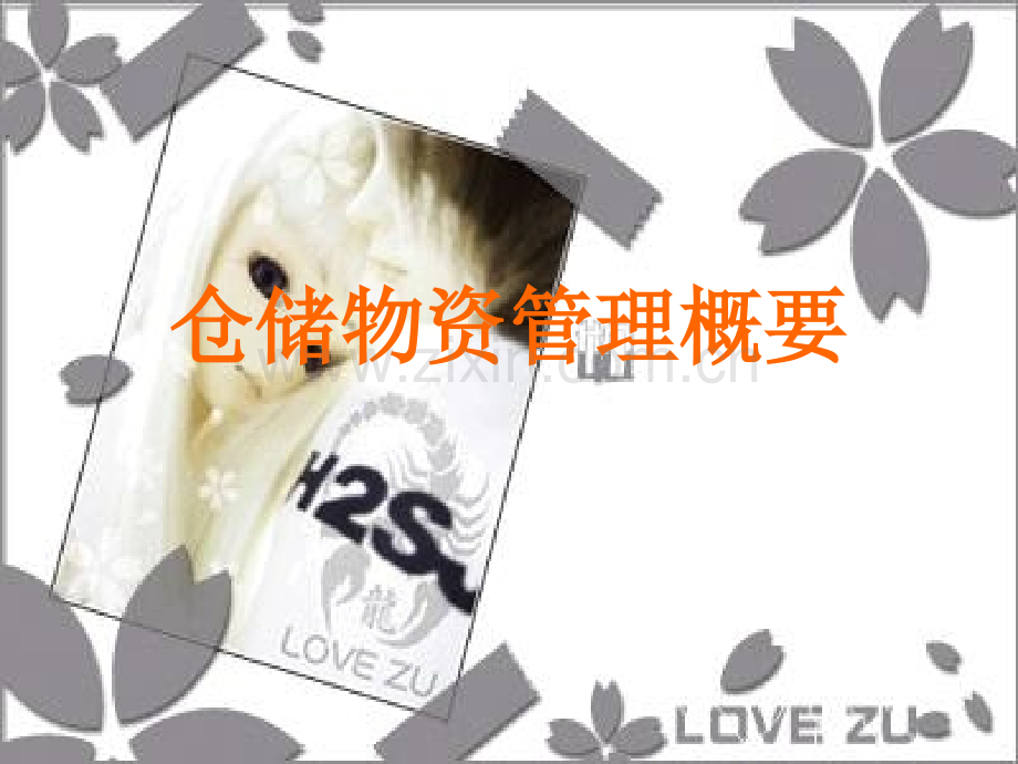 仓储物资管理概要.pptx_第1页