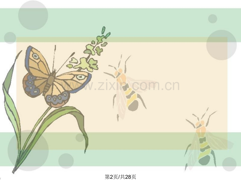 国外专业设计师的PPT模板.ppt_第2页