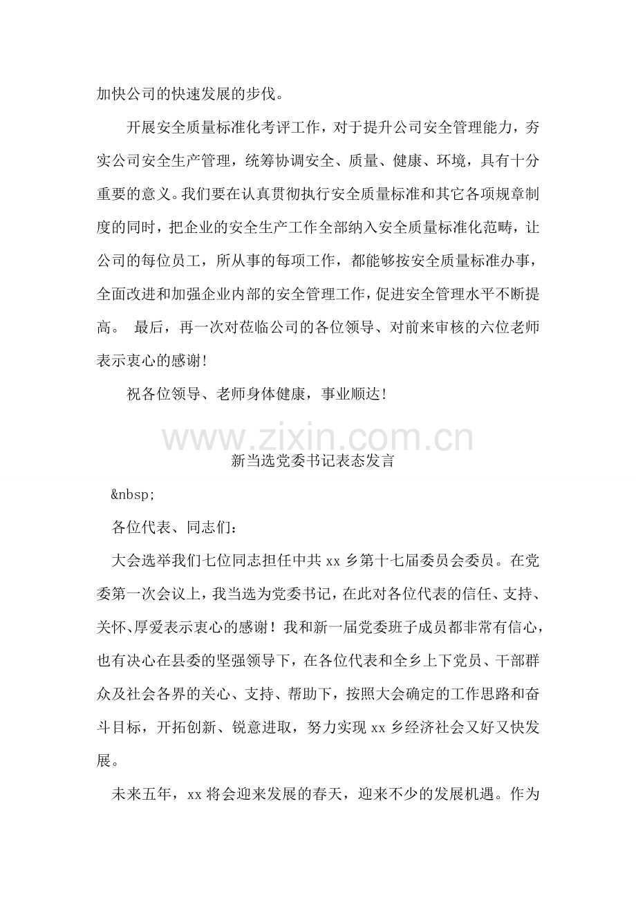 在安全质量标准化一级企业会议上的讲话.doc_第2页