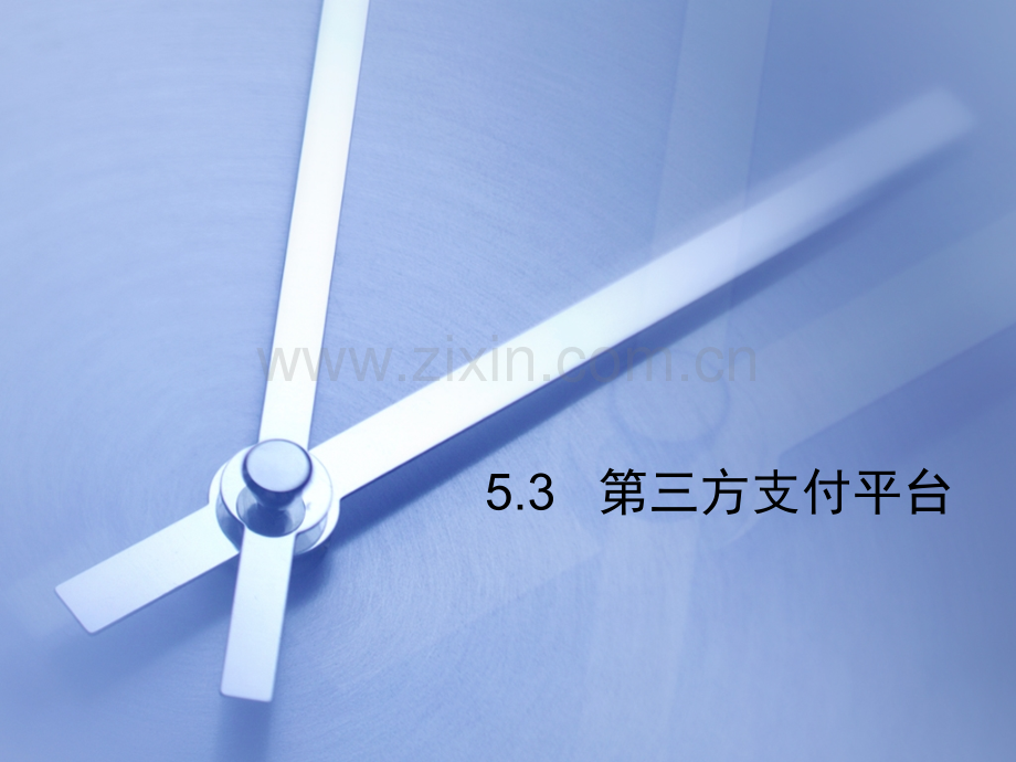 53第三方支付平台解析.pptx_第1页