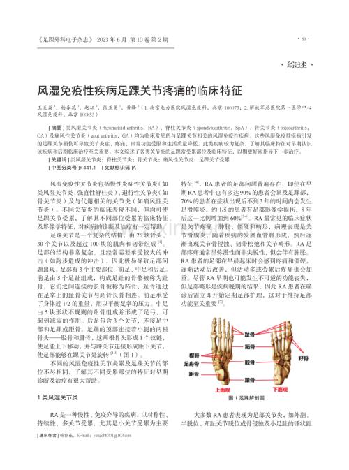 风湿免疫性疾病足踝关节疼痛的临床特征.pdf
