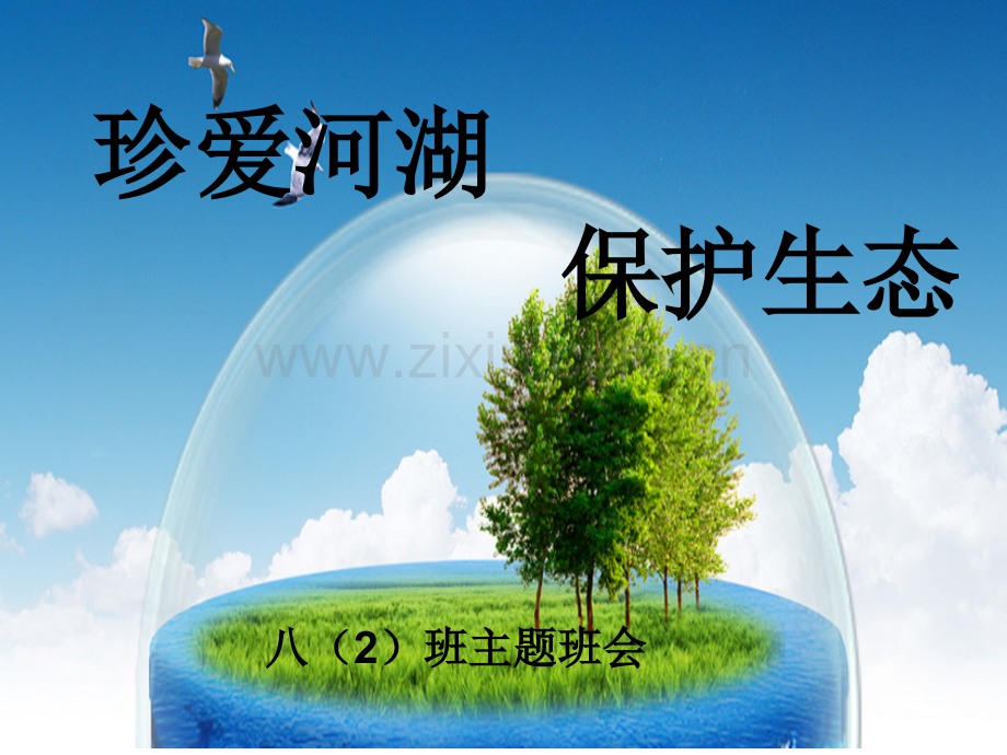 珍爱河湖保护生态.pptx_第2页