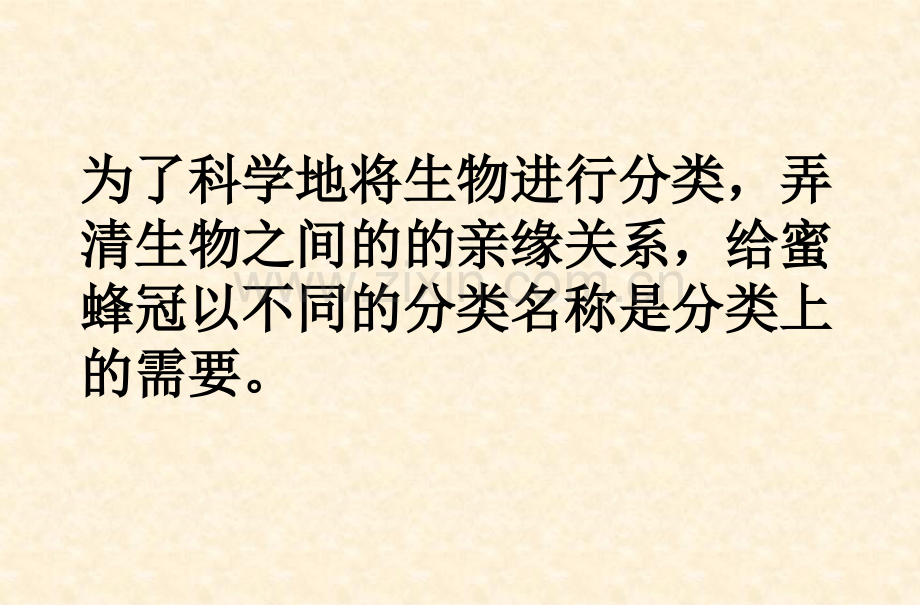 从种到界ppt课件.pptx_第2页