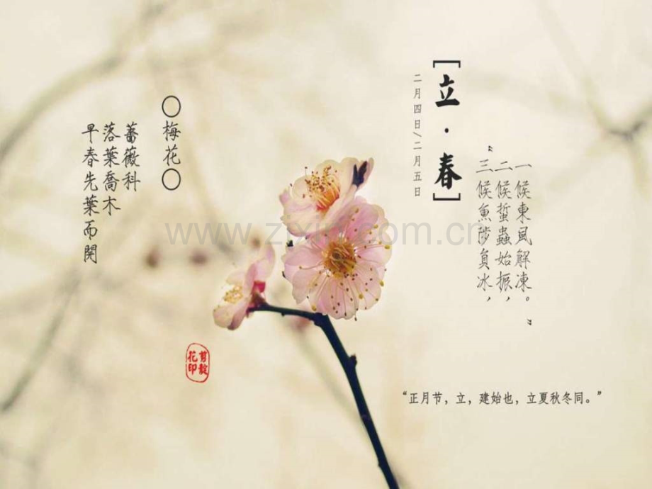 春天遐想高中作文高中教育教育专区.pptx_第2页