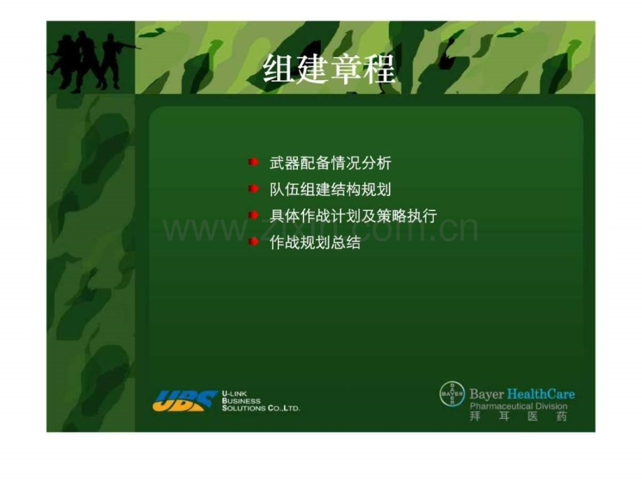 中国市场推广方案.pptx_第2页