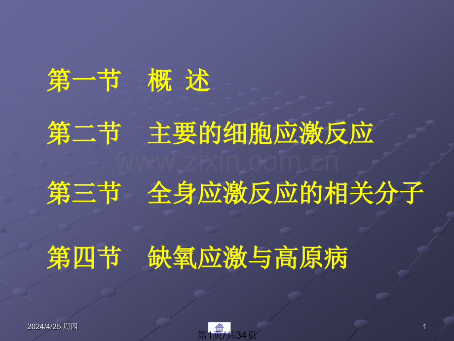 细胞应激反应.pptx_第1页
