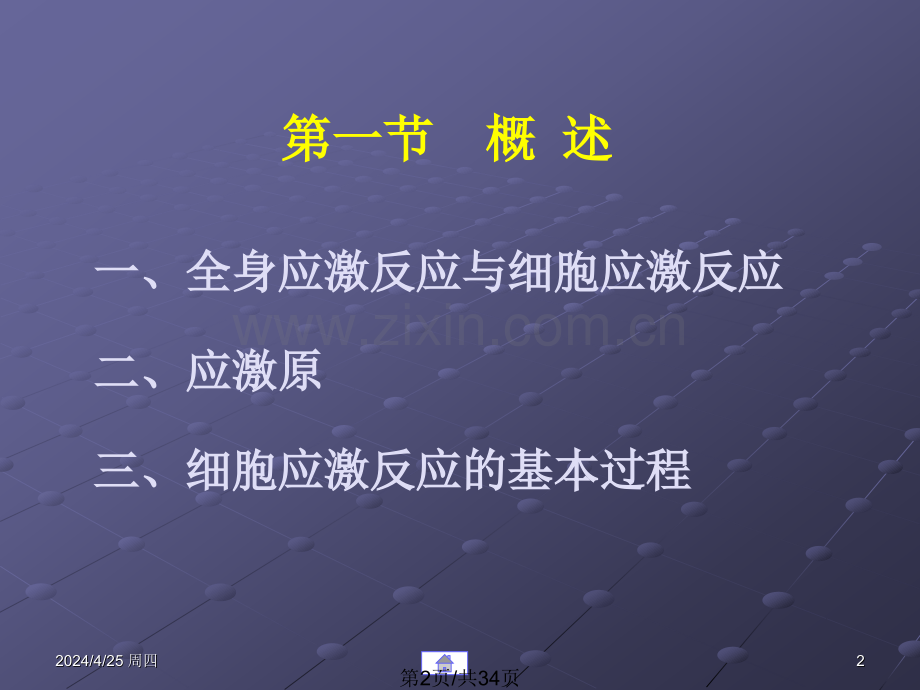 细胞应激反应.pptx_第2页