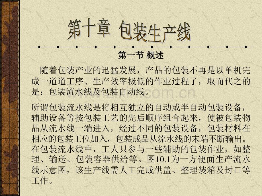 包装生产线.pptx_第2页