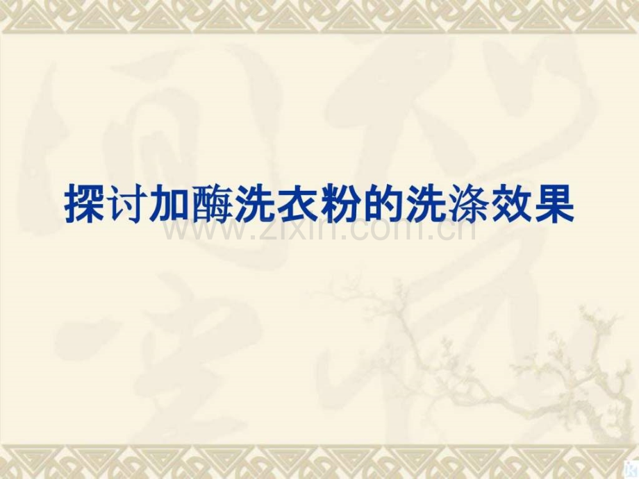 探讨加酶洗衣粉的洗涤效果用.pptx_第1页