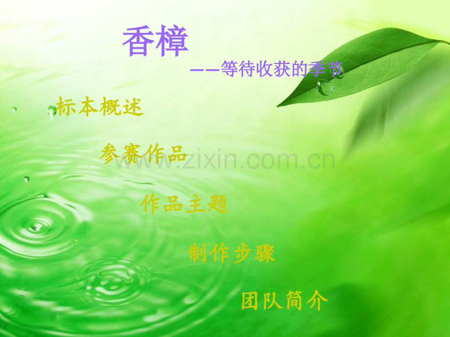 香樟等待收获的季.pptx_第1页
