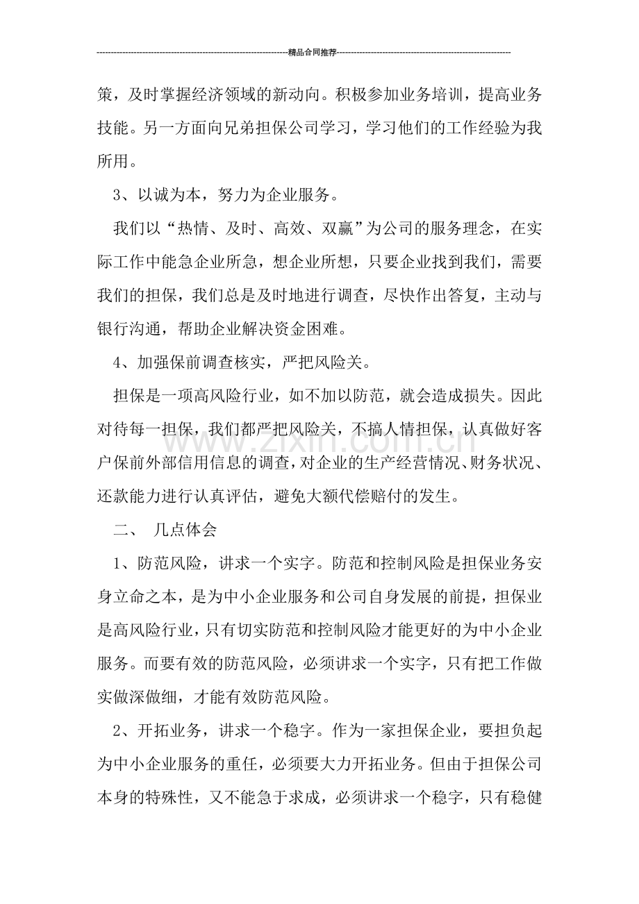 担保公司年终总结范文.doc_第2页