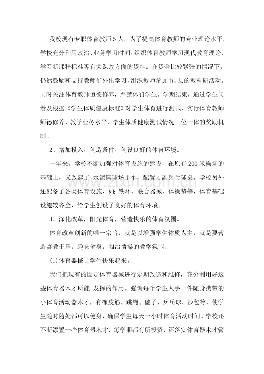小学体育工作自查报告.doc_第2页
