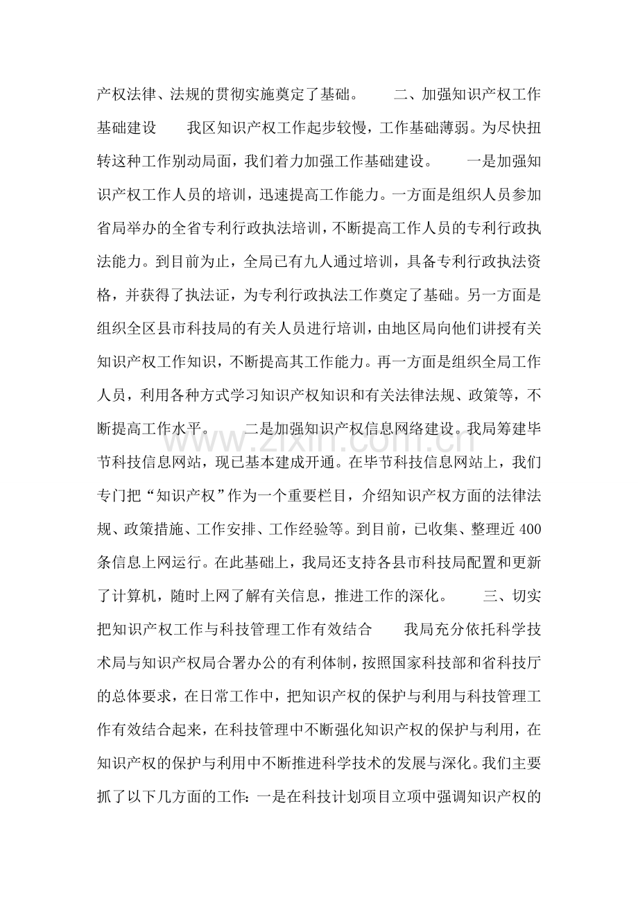 工作总结(知识产权).doc_第2页