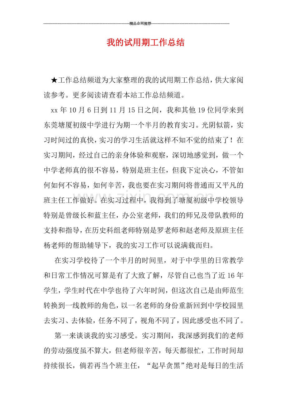 我的试用期工作总结.doc_第1页