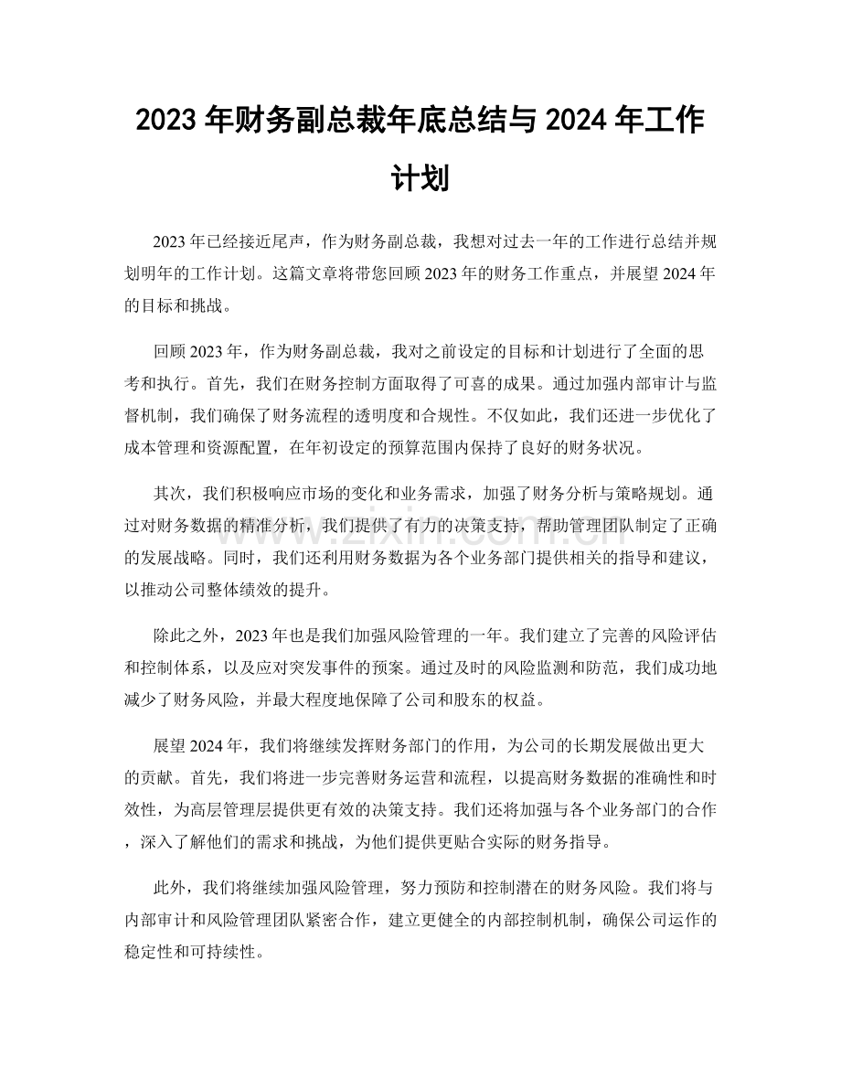 2023年财务副总裁年底总结与2024年工作计划.docx_第1页