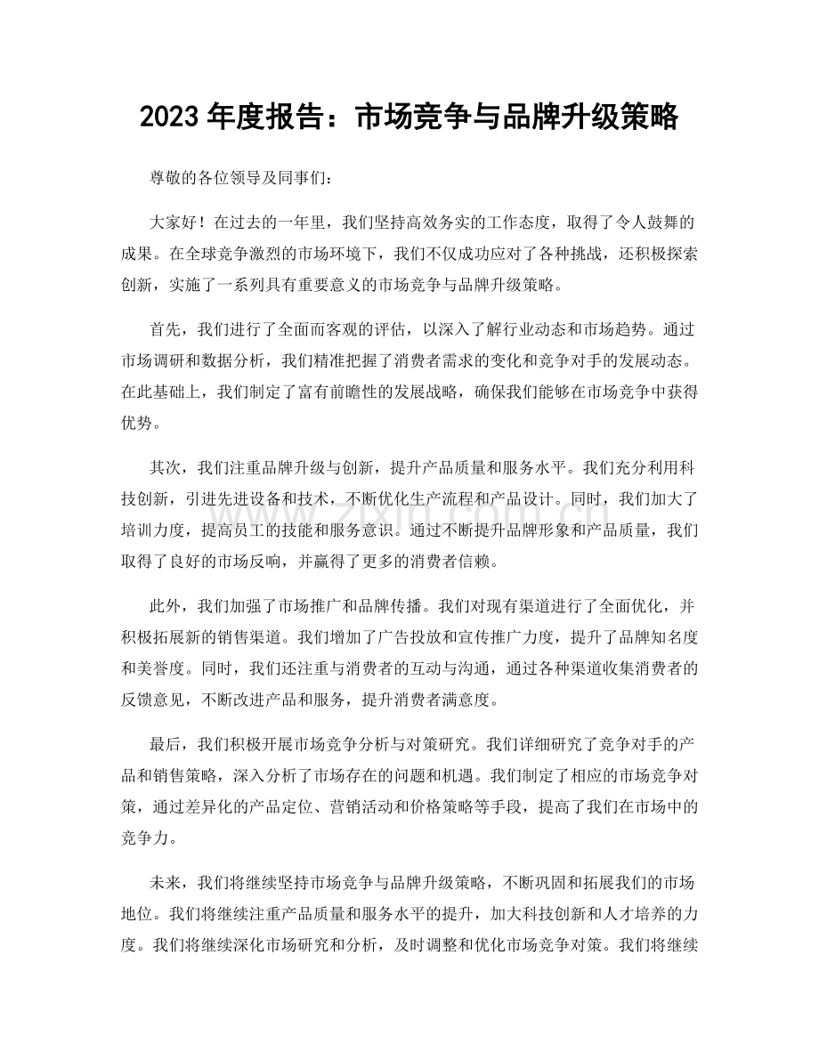 2023年度报告：市场竞争与品牌升级策略.docx_第1页