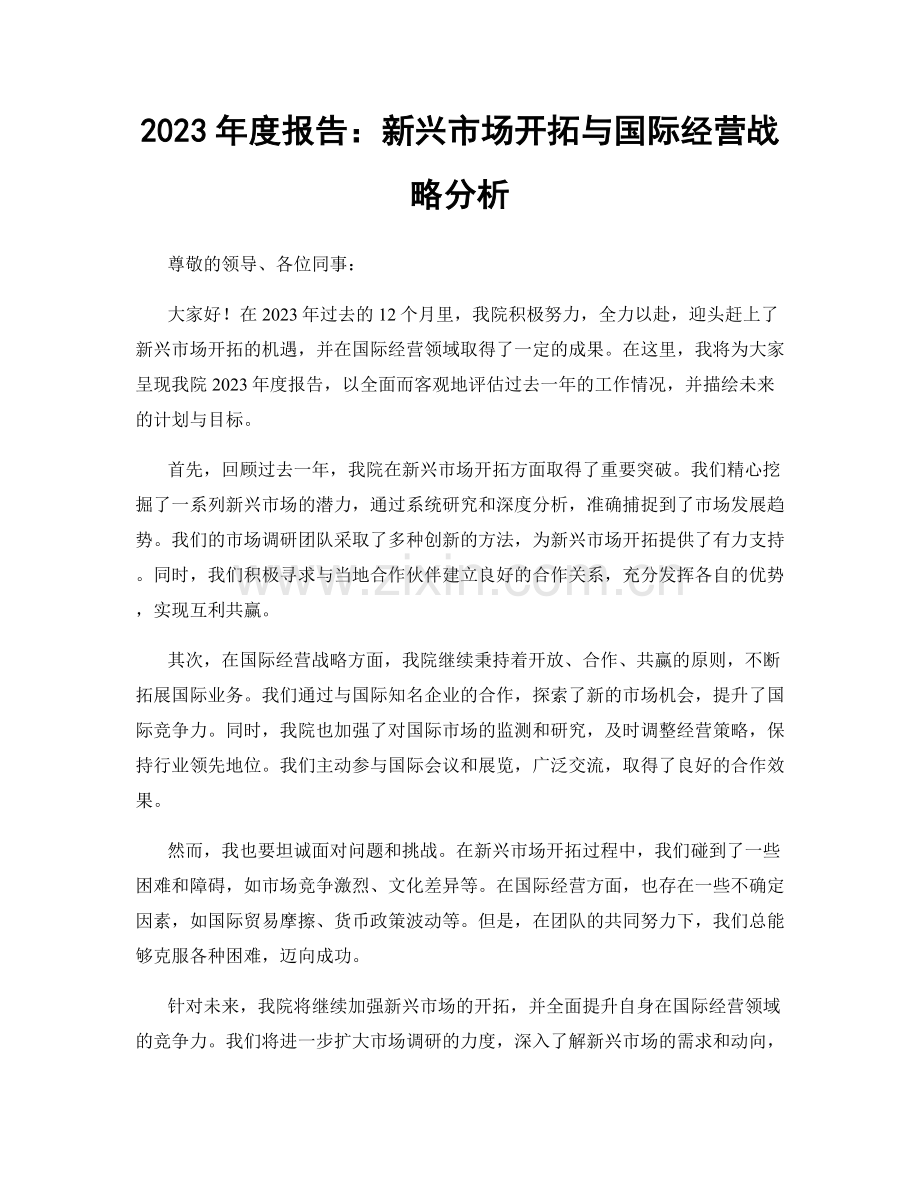 2023年度报告：新兴市场开拓与国际经营战略分析.docx_第1页