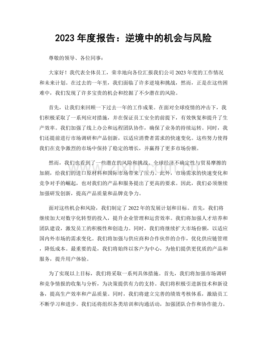 2023年度报告：逆境中的机会与风险.docx_第1页