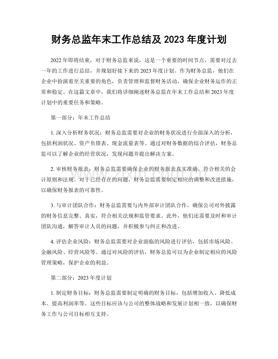 财务总监年末工作总结及2023年度计划.docx_第1页