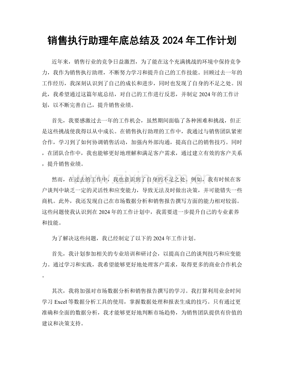 销售执行助理年底总结及2024年工作计划.docx_第1页