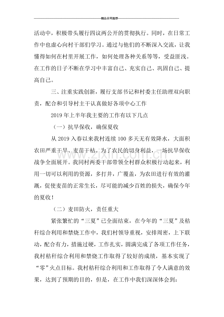 村干部党支部书记工作总结.doc_第2页