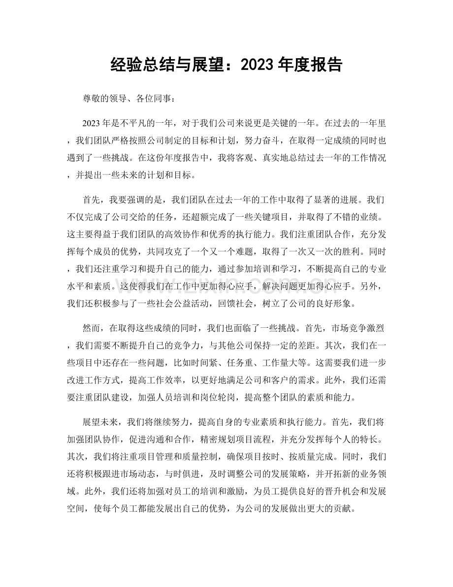 经验总结与展望：2023年度报告.docx_第1页