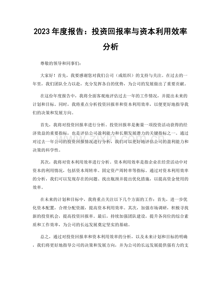 2023年度报告：投资回报率与资本利用效率分析.docx_第1页
