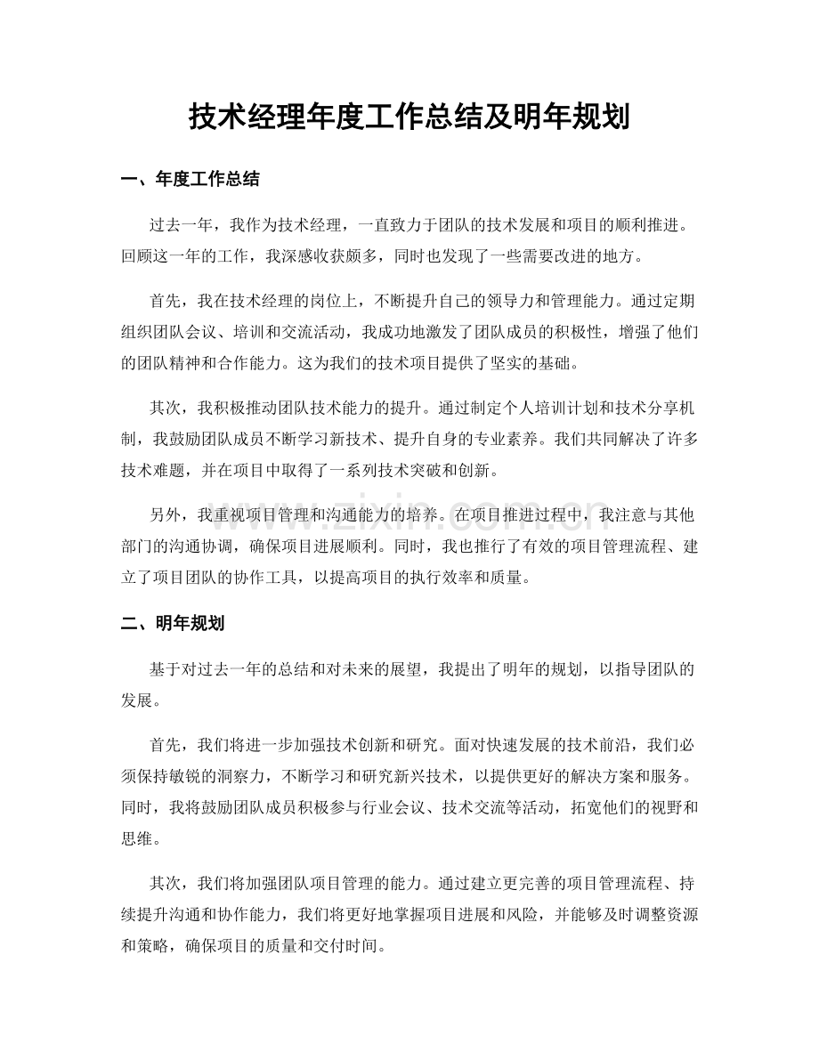 技术经理年度工作总结及明年规划.docx_第1页