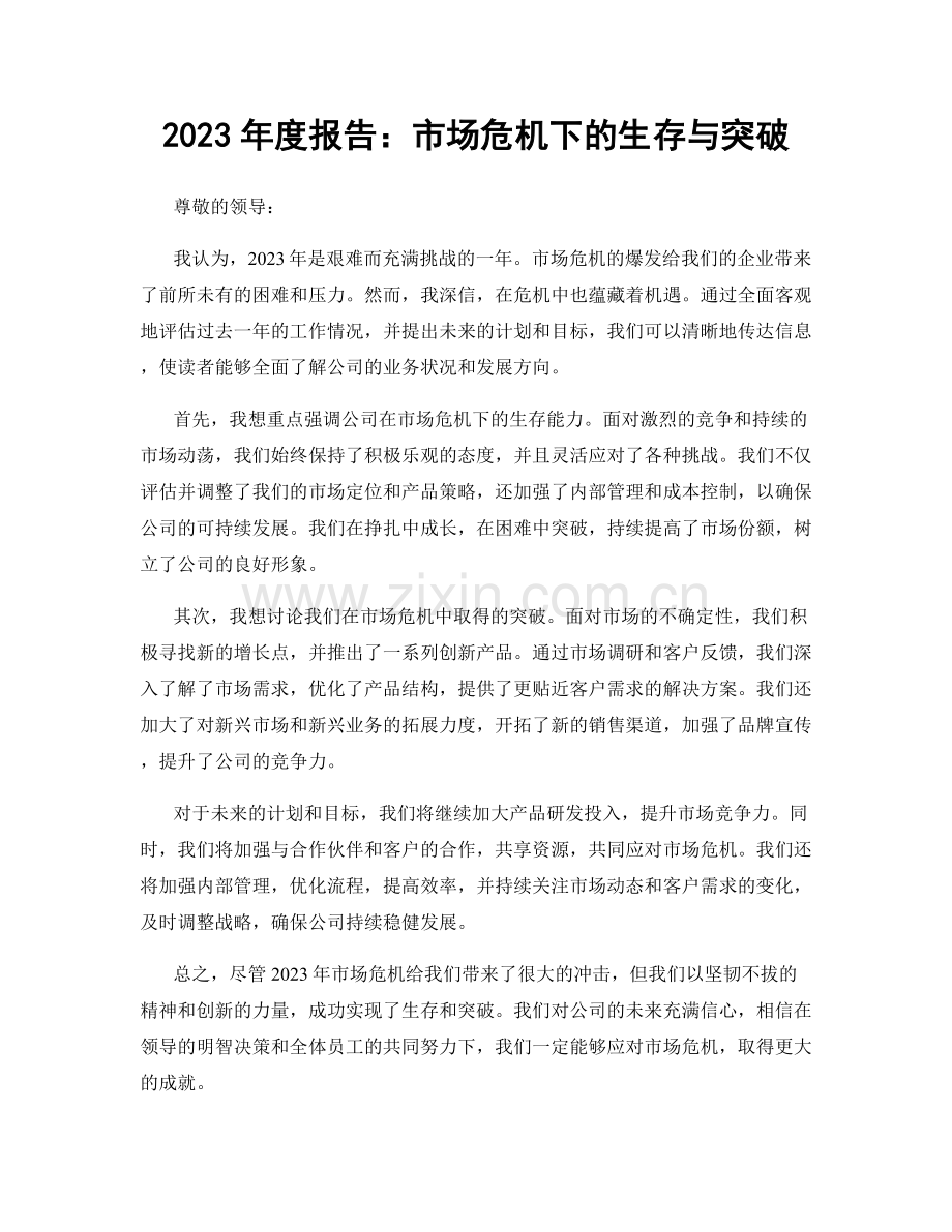 2023年度报告：市场危机下的生存与突破.docx_第1页