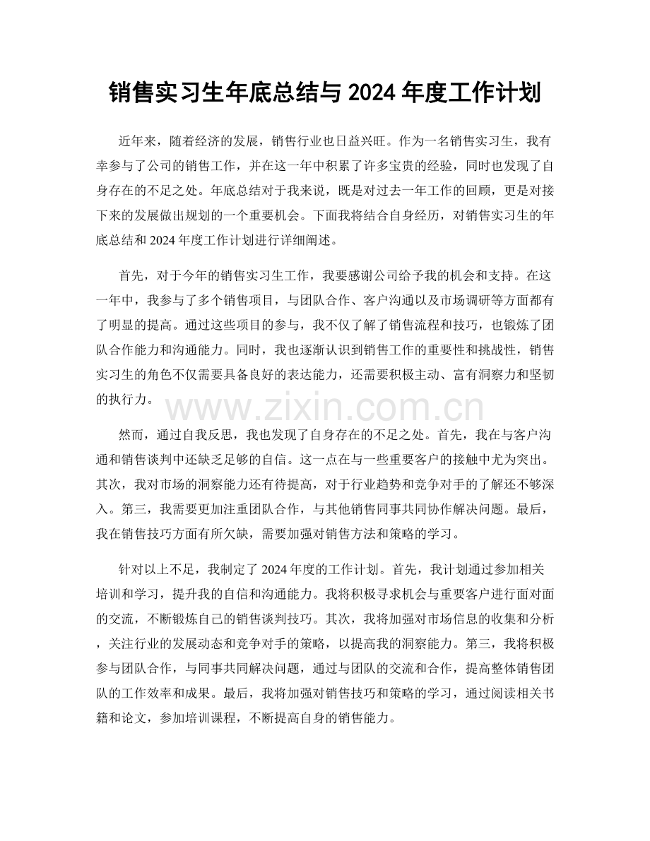 销售实习生年底总结与2024年度工作计划.docx_第1页