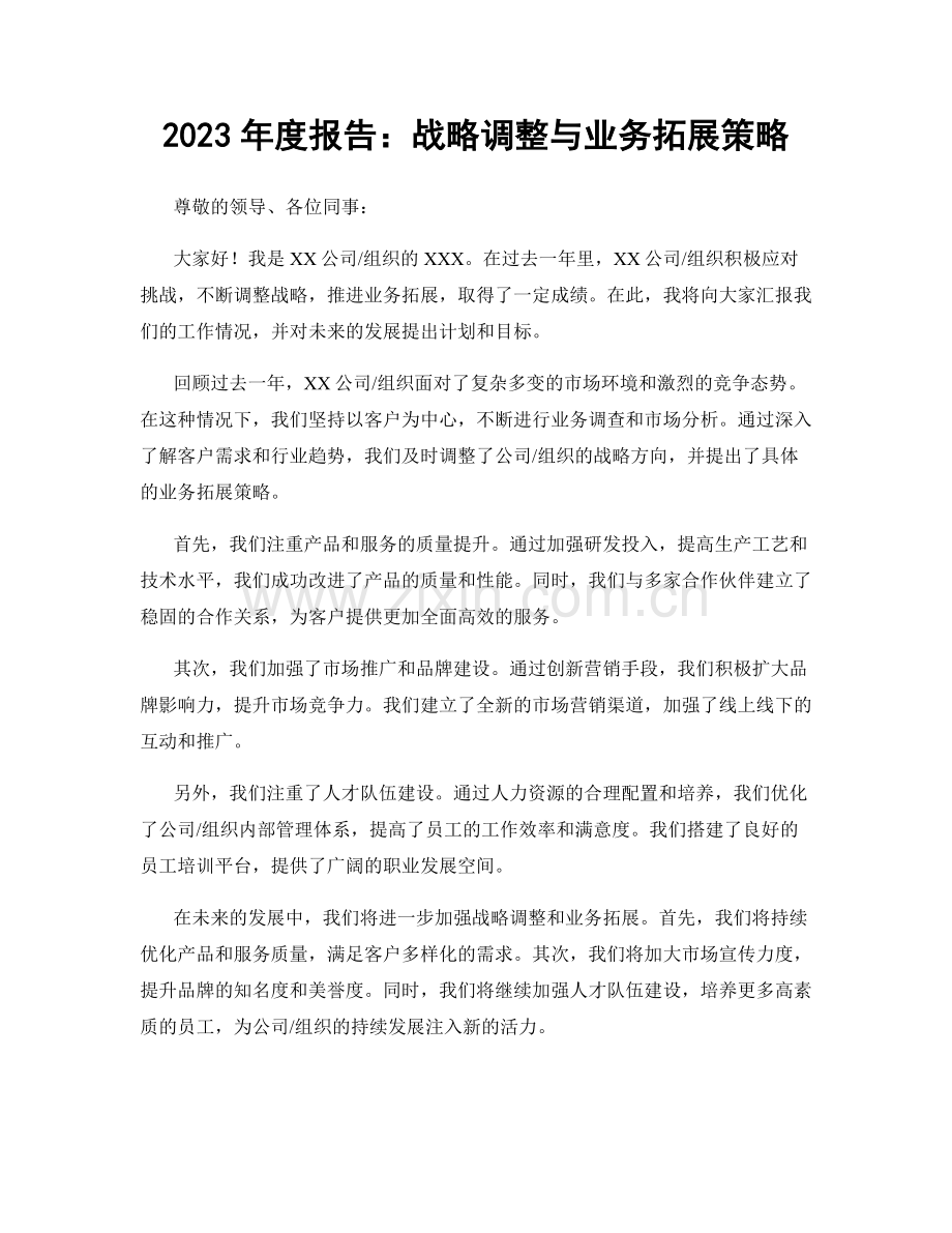 2023年度报告：战略调整与业务拓展策略.docx_第1页