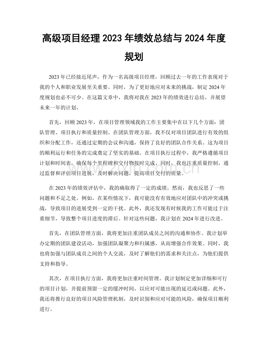 高级项目经理2023年绩效总结与2024年度规划.docx_第1页