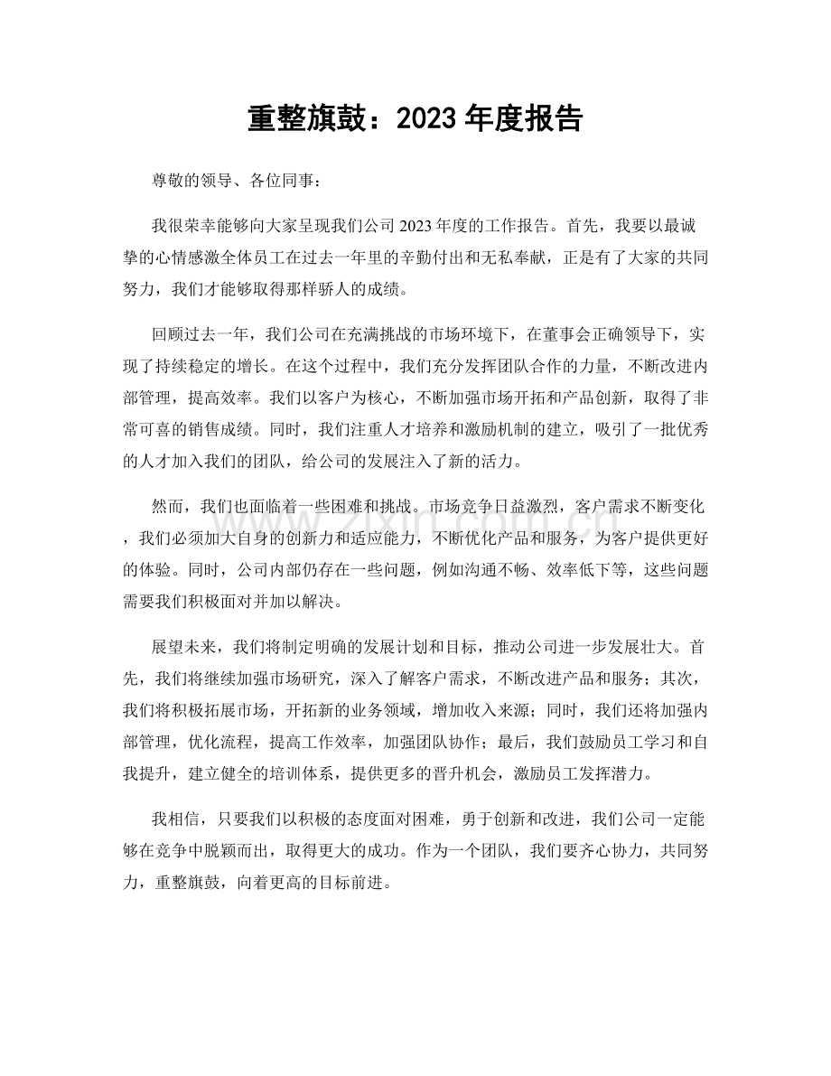 重整旗鼓：2023年度报告.docx_第1页