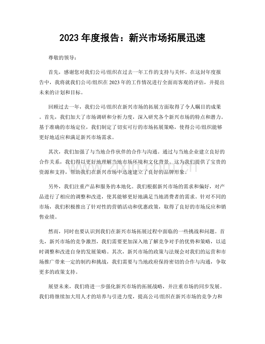 2023年度报告：新兴市场拓展迅速.docx_第1页