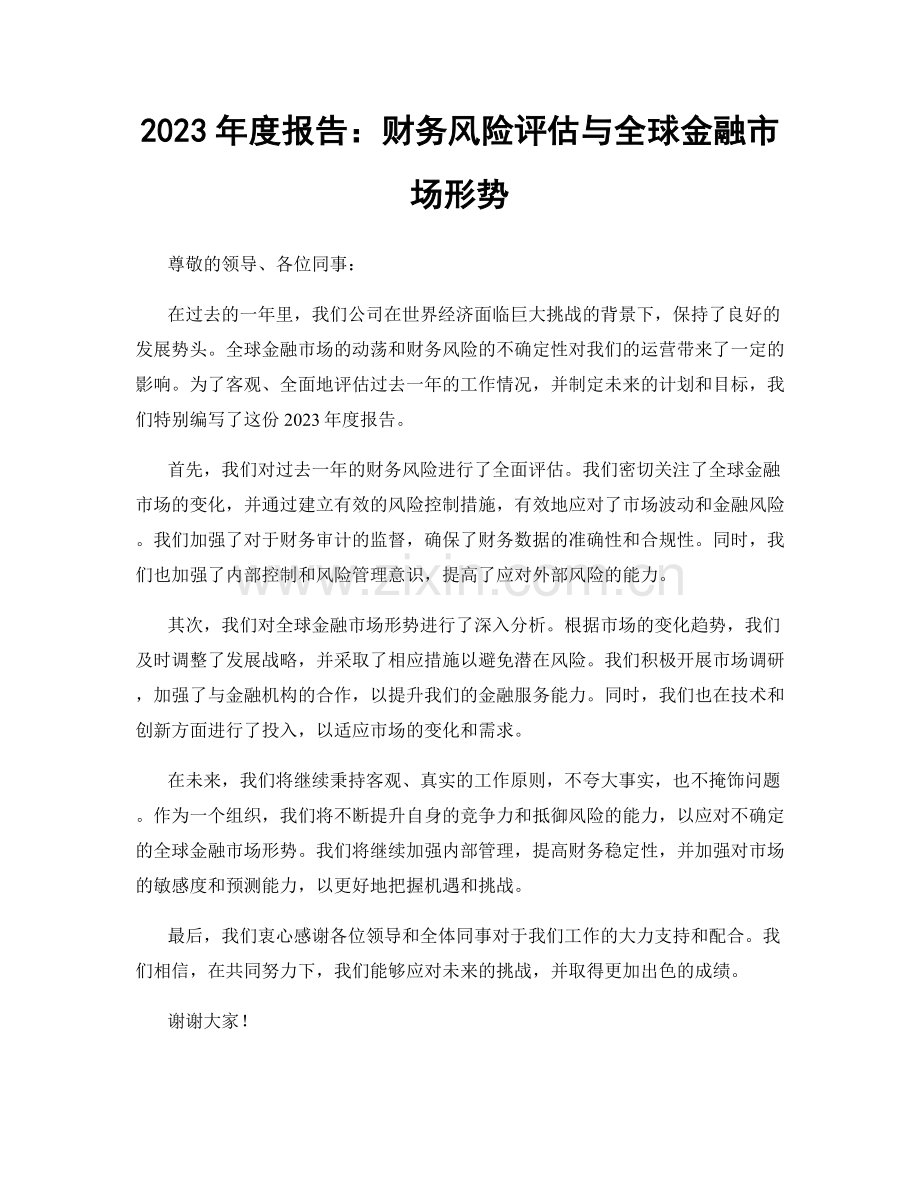 2023年度报告：财务风险评估与全球金融市场形势.docx_第1页