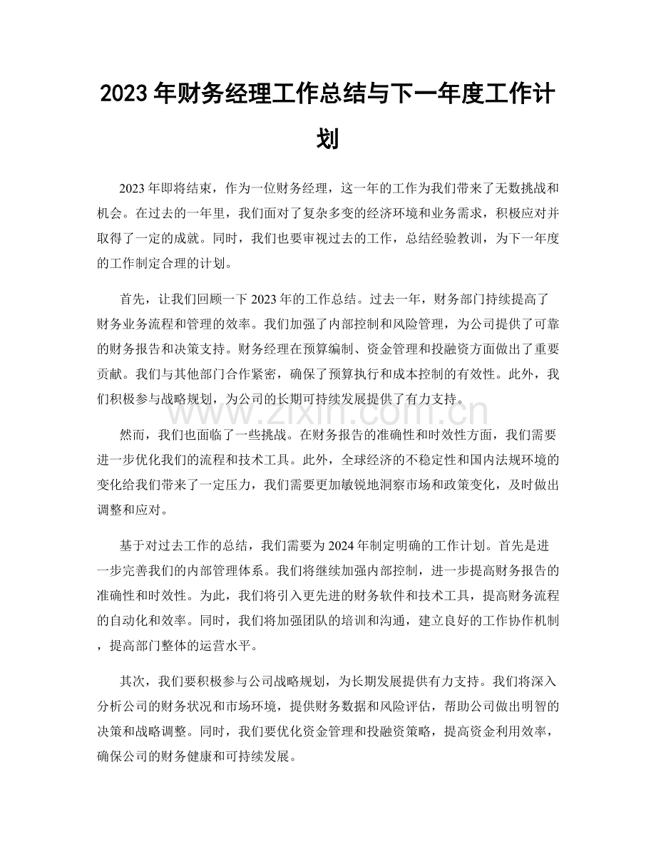2023年财务经理工作总结与下一年度工作计划.docx_第1页