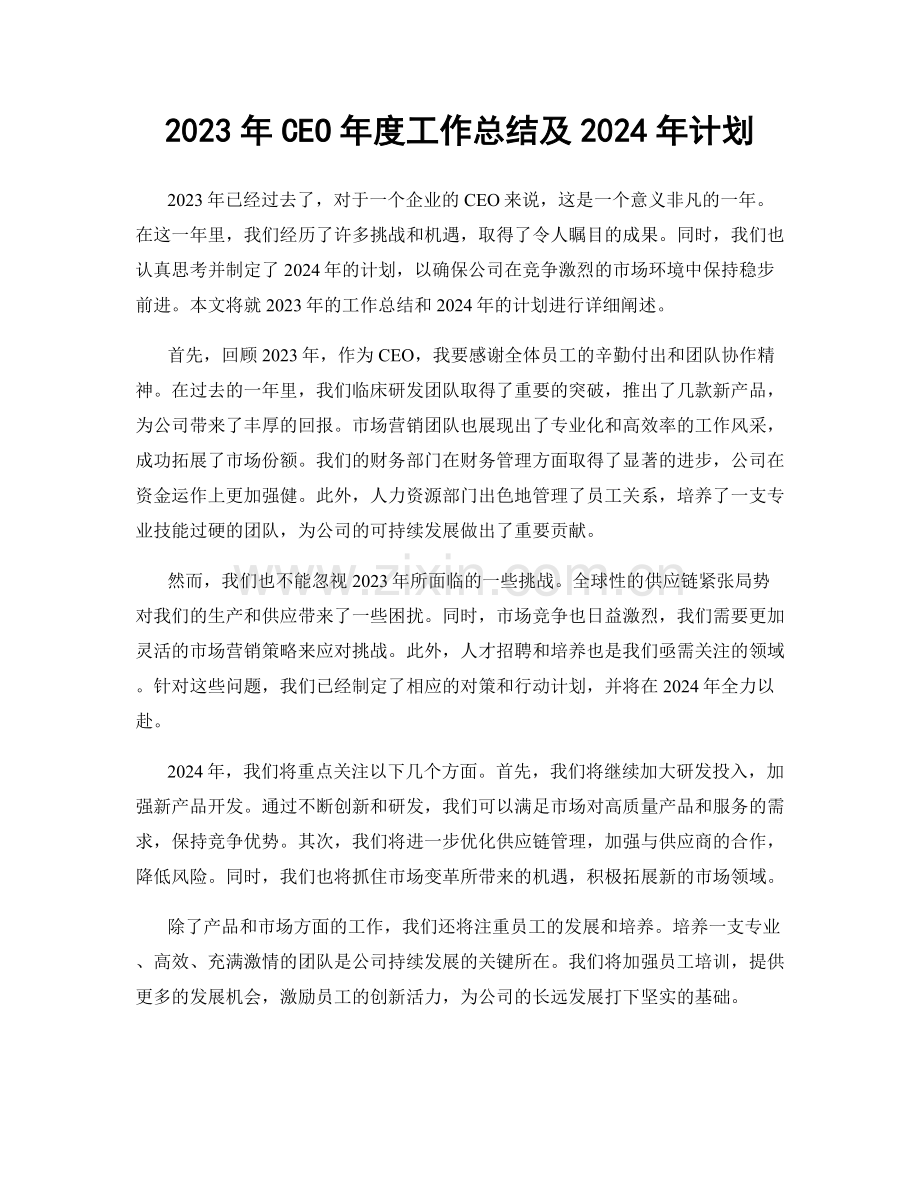 2023年CEO年度工作总结及2024年计划.docx_第1页