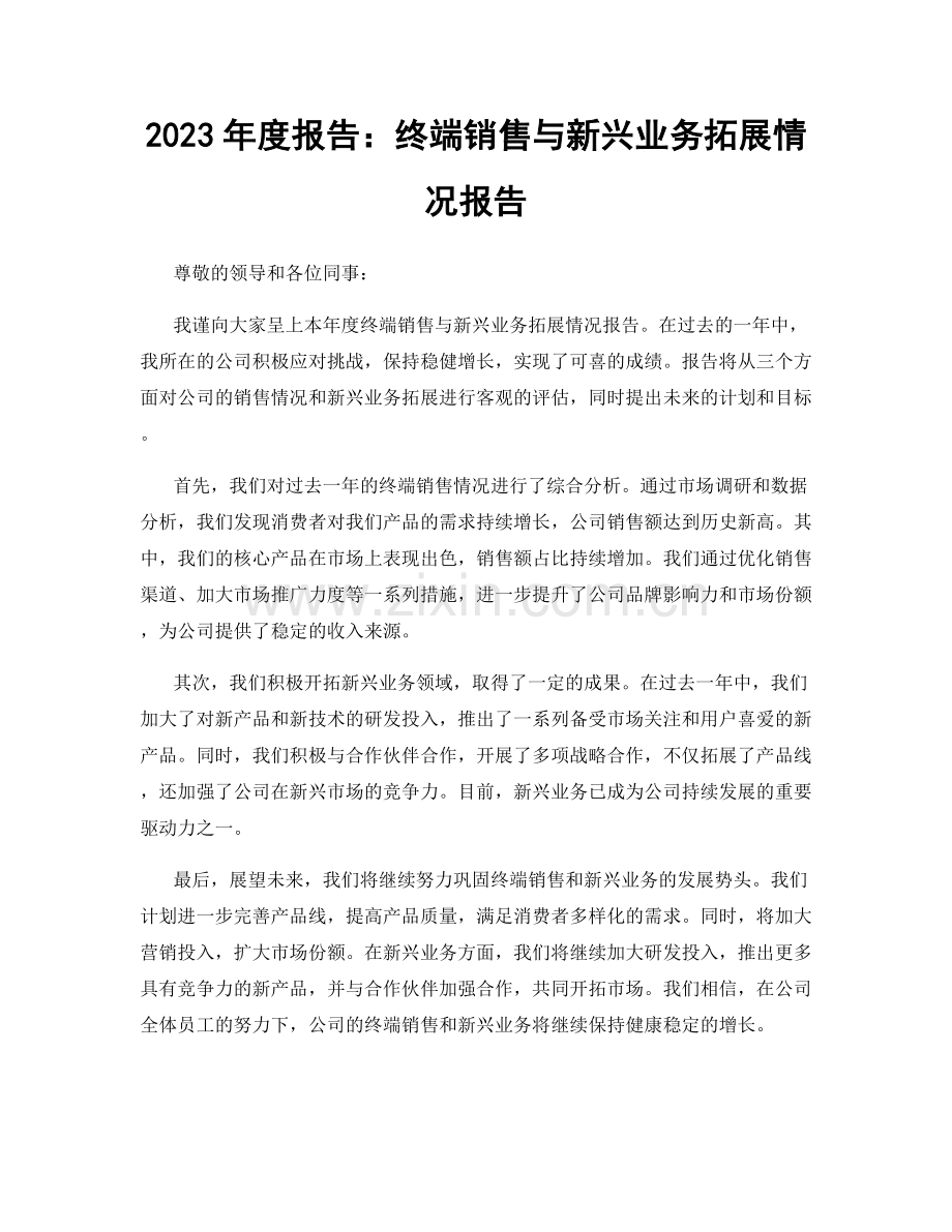 2023年度报告：终端销售与新兴业务拓展情况报告.docx_第1页