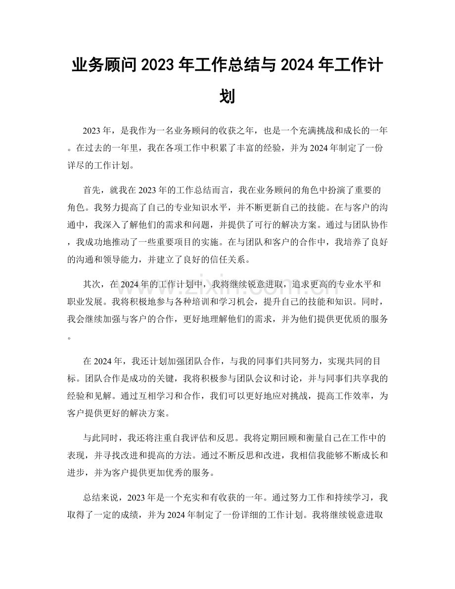 业务顾问2023年工作总结与2024年工作计划.docx_第1页