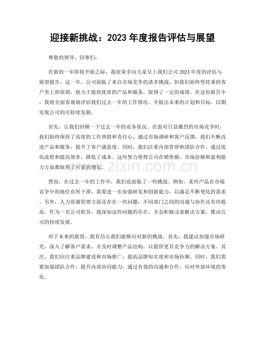 迎接新挑战：2023年度报告评估与展望.docx_第1页