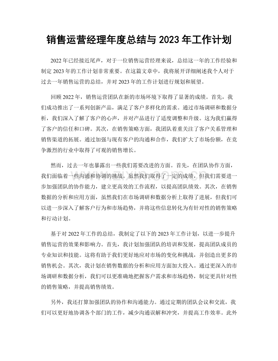 销售运营经理年度总结与2023年工作计划.docx_第1页