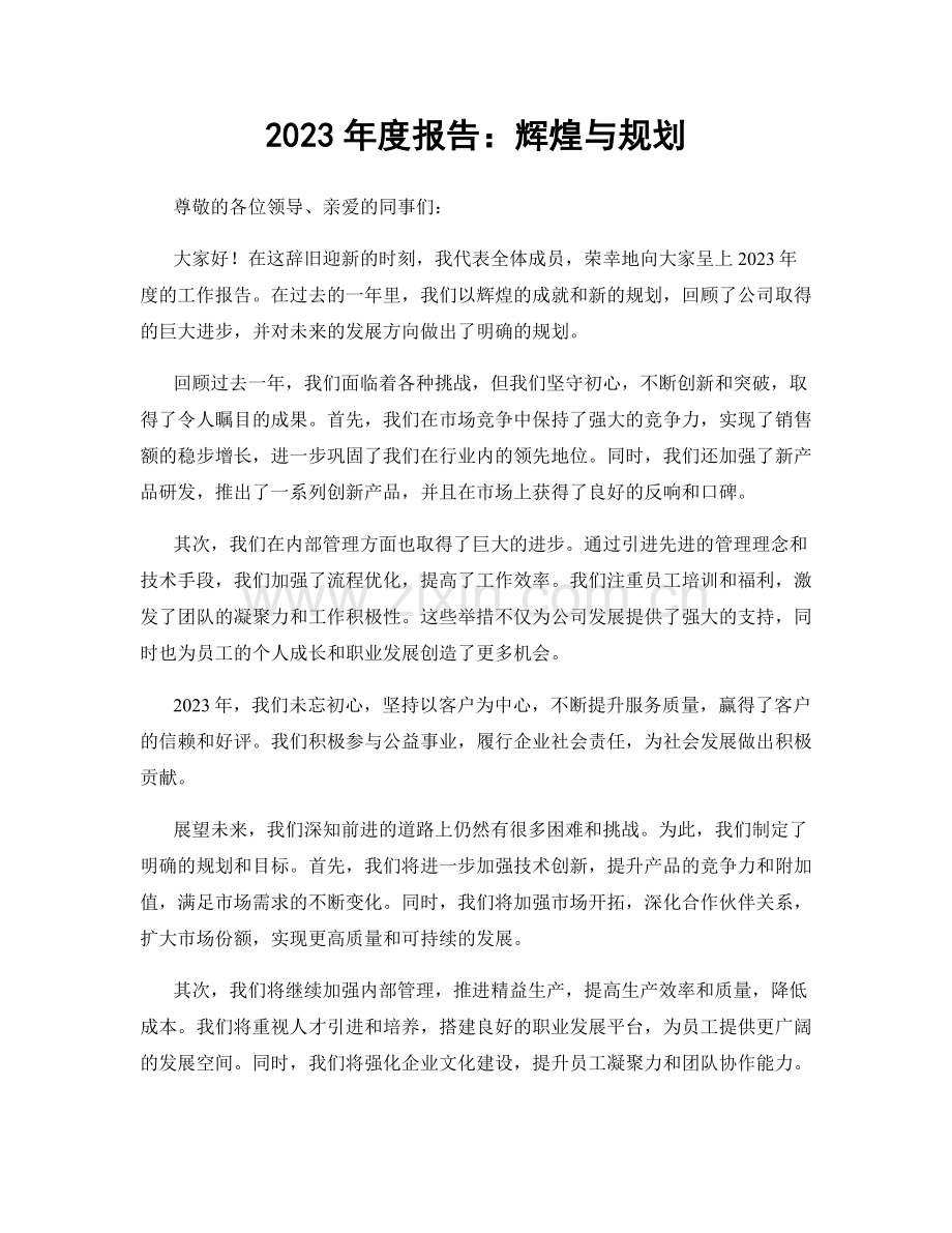 2023年度报告：辉煌与规划.docx_第1页